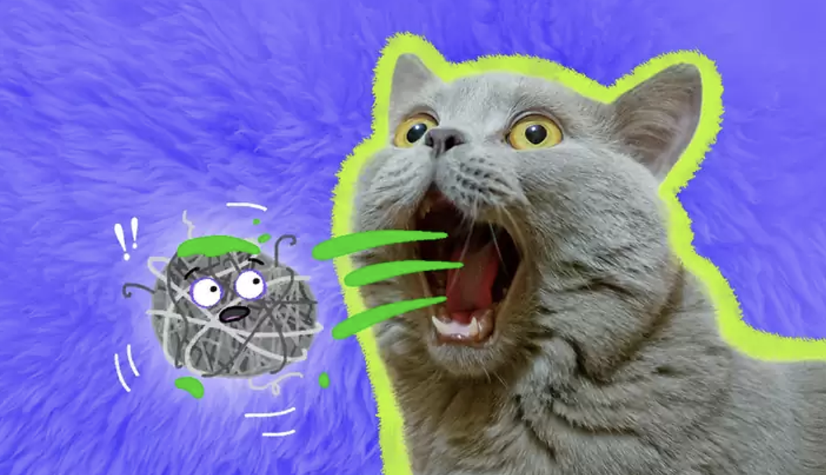 Cat Hairball: A Hairy Dilemma