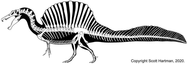 Spinosaurus: The Never-Ending Story
