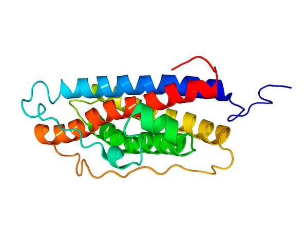 Prolactin, the diverse function enzyme