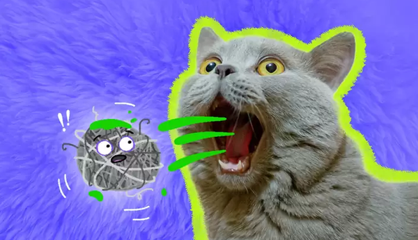 Cat Hairball: A Hairy Dilemma